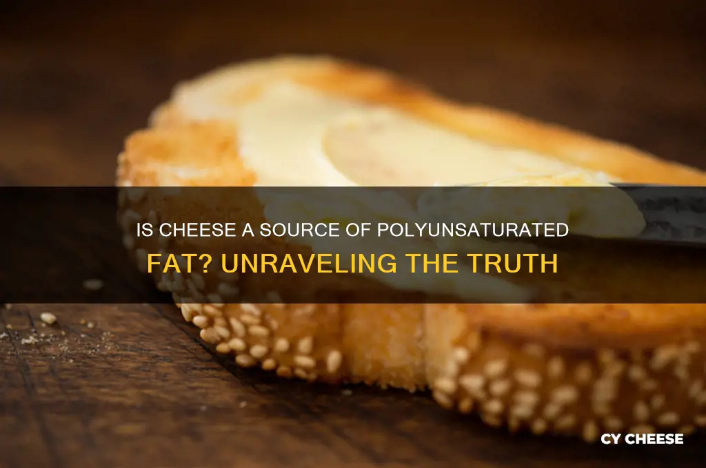 is cheese polyunsaturated fat