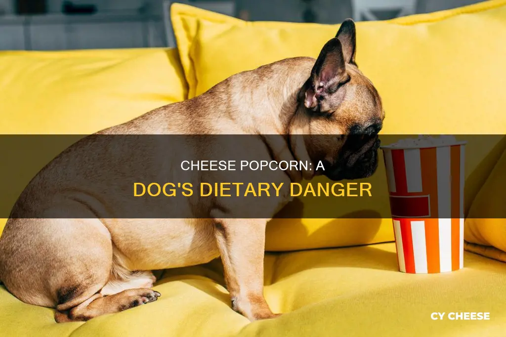 is cheese popcorn bad for dogs