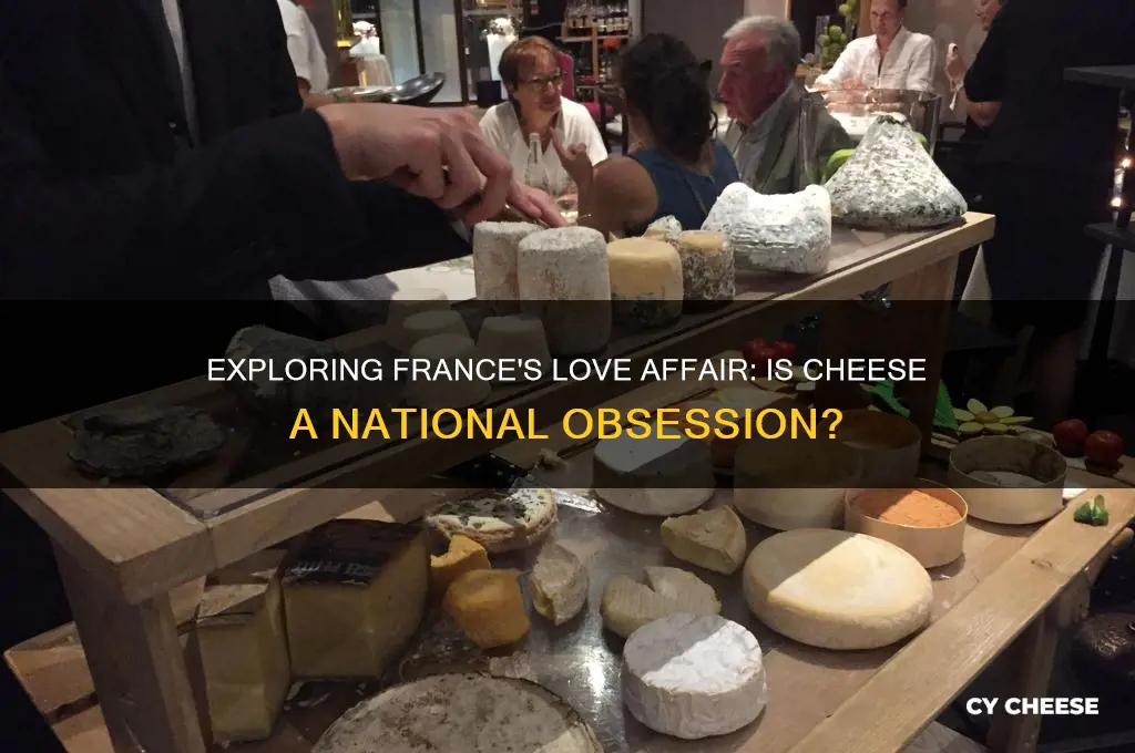is cheese popular in france