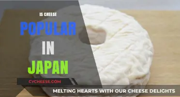 Exploring Japan's Love Affair with Cheese: A Cultural Culinary Journey