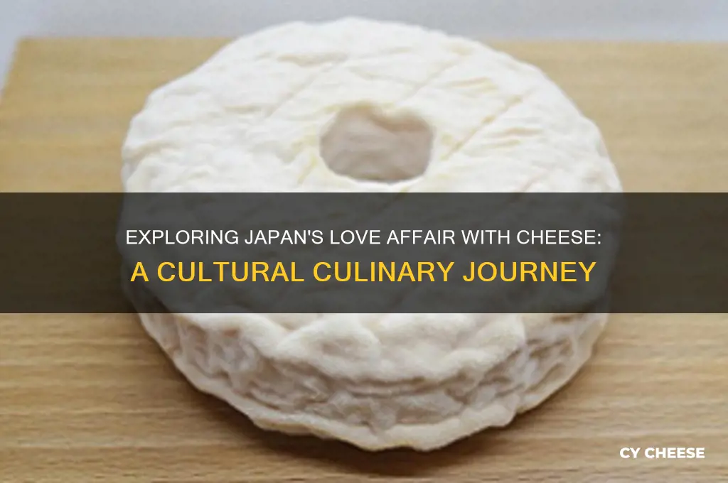 is cheese popular in japan