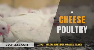 Is Cheese Poultry? Debunking the Myth and Clarifying Food Categories