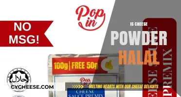Is Cheese Powder Halal? Understanding Ingredients and Certification