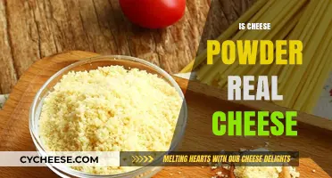Is Cheese Powder Real Cheese? Unraveling the Dairy Mystery