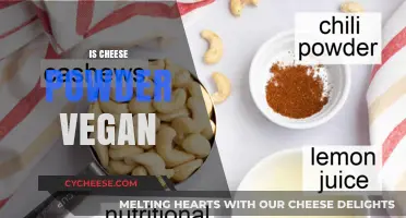 Is Cheese Powder Vegan? Unraveling Ingredients and Ethical Alternatives