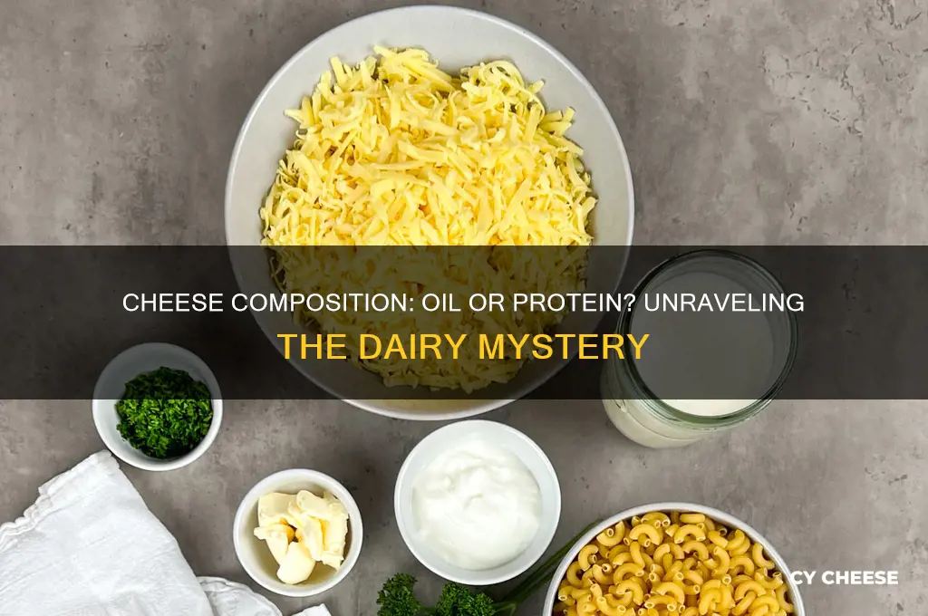 is cheese predominately a oil or a protien