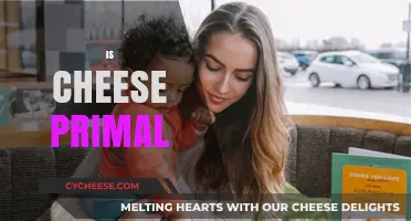 Is Cheese Primal? Exploring Its Place in Ancestral Diets