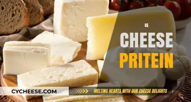 Is Cheese a Protein Powerhouse? Unraveling the Nutritional Truth