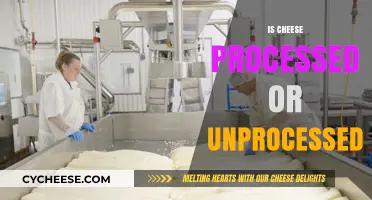 Processed or Natural? Unraveling the Truth About Cheese Production