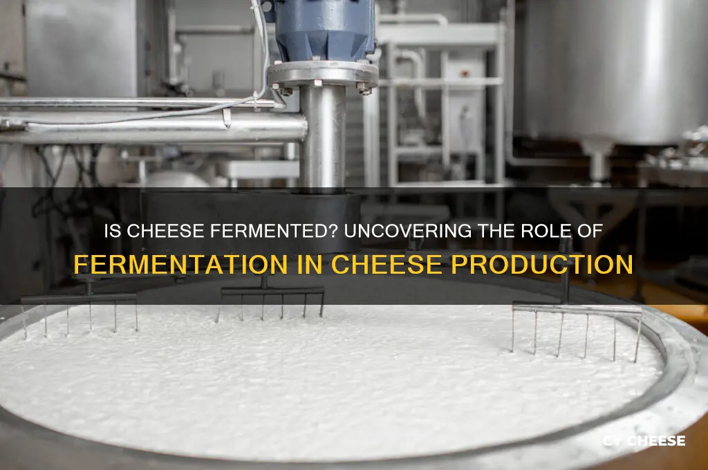 is cheese produced by fermentation