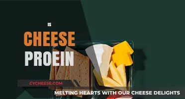 Is Cheese a Good Protein Source? Uncovering Nutritional Facts and Myths