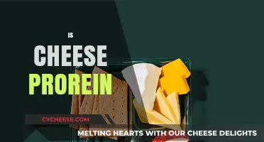 Is Cheese a Protein Powerhouse? Unraveling Its Nutritional Value