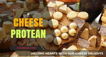 Is Cheese Protean? Exploring Its Versatile Nature and Culinary Magic