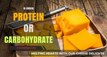 Cheese: Protein or Carb? Unraveling Its Nutritional Composition