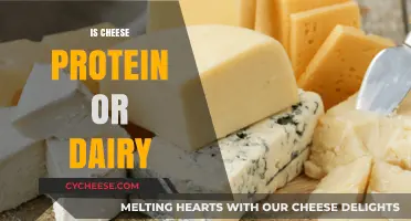 Cheese: Dairy Delight or Protein Powerhouse? Unraveling the Nutritional Mystery
