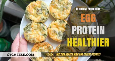 Cheese vs Egg: Which Protein is Better?