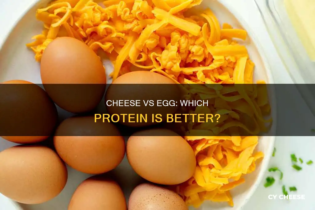is cheese protein or egg protein healthier