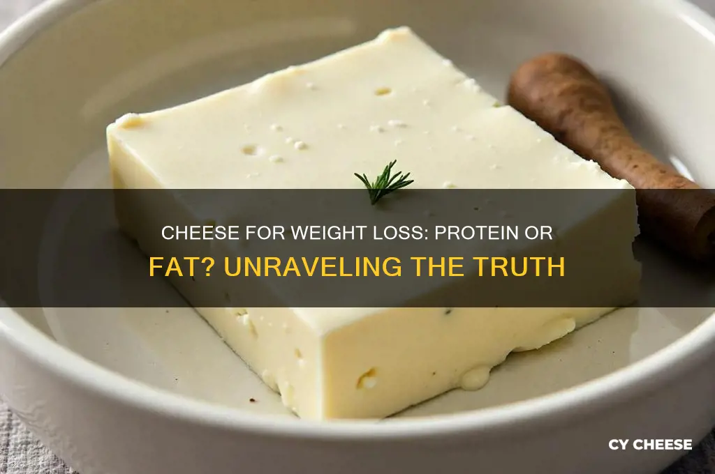 is cheese protein or fat for weight loss