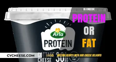 Cheese Composition: Understanding Its Protein and Fat Content