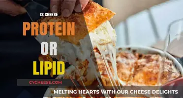 Cheese Composition: Understanding Its Protein and Lipid Content