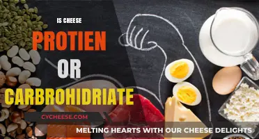 Cheese: Protein or Carbohydrate? Unraveling the Nutritional Mystery
