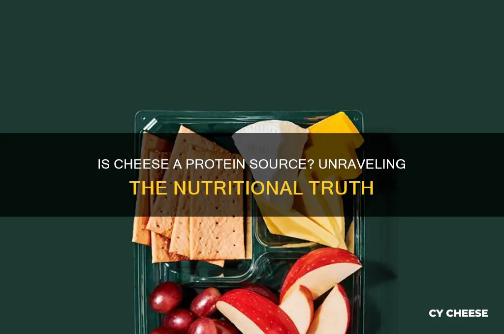 is cheese protine