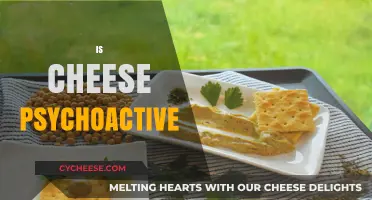 Is Cheese Psychoactive? Exploring the Surprising Effects of Cheese on the Brain