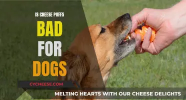 Cheese Puffs: Are They Safe for Dogs?