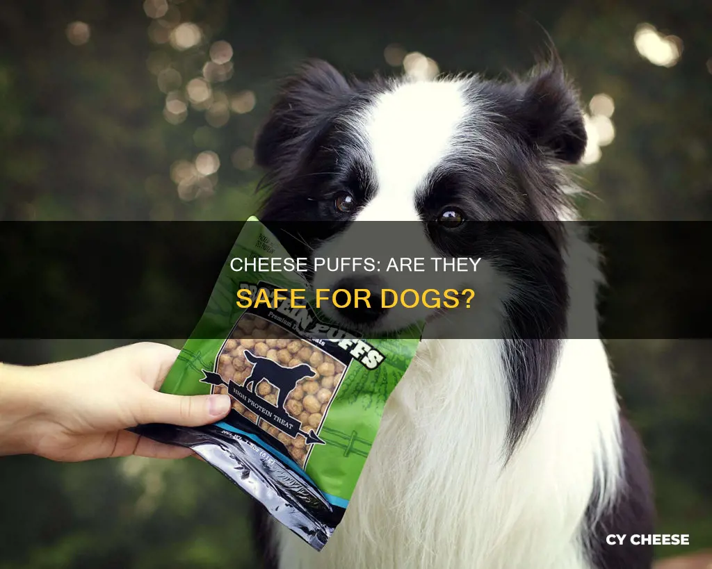 is cheese puffs bad for dogs