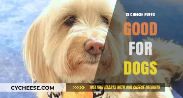 Cheese Puffs: Healthy Dog Treats or Not?