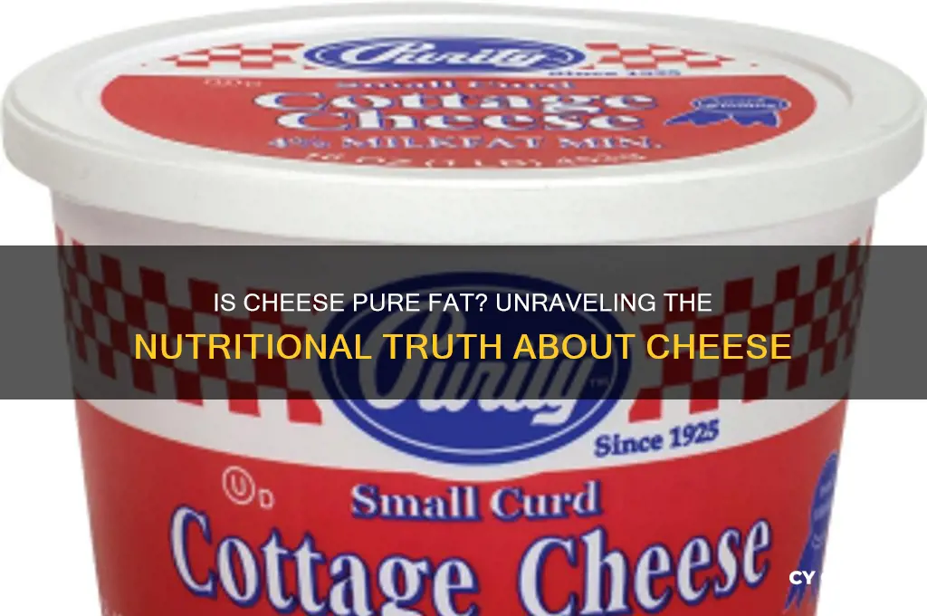is cheese pure fat