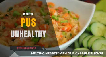 Is Cheese Pus Unhealthy? Debunking Myths About Dairy Byproducts