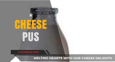 Is Cheese Really Pus? Debunking Myths About Dairy Production