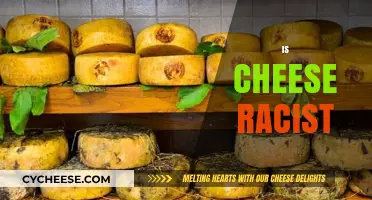 Is Cheese Racist? Unpacking Cultural Bias in Food Stereotypes