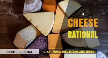 Is Cheese Rational? Exploring the Logic Behind Our Love for Dairy