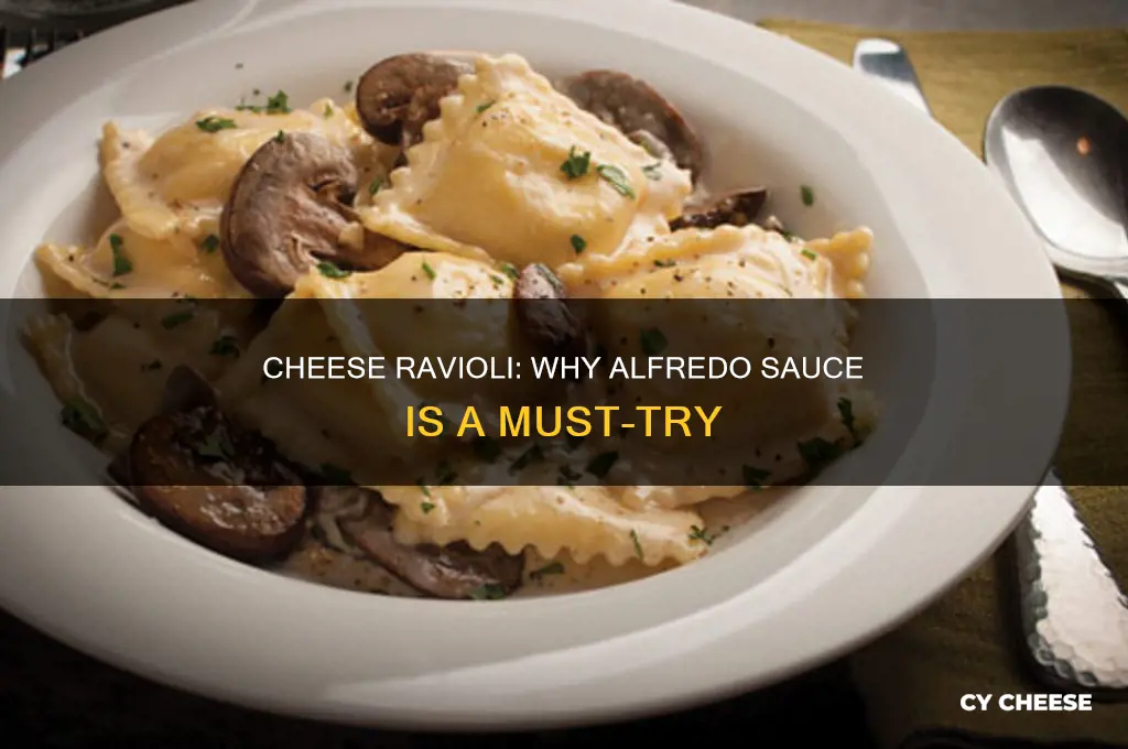 is cheese ravioli good with alfredo sauce
