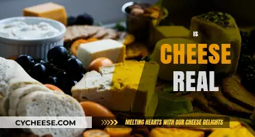 Is Cheese Real? Unraveling the Truth Behind This Dairy Delight