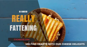 Is Cheese Fattening? Unraveling the Truth About Dairy and Weight Gain