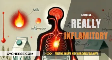 Is Cheese Inflammatory? Unraveling the Truth Behind Dairy and Inflammation