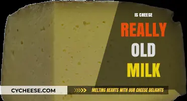 Is Cheese Just Aged Milk? Unraveling the Dairy Transformation