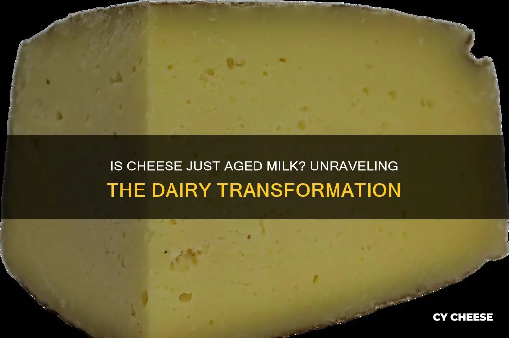 is cheese really old milk