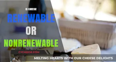 Is Cheese Renewable? Exploring Dairy's Sustainability and Environmental Impact