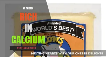 Is Cheese a Calcium Powerhouse? Unveiling Its Nutritional Benefits