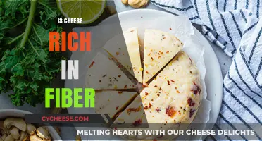 Is Cheese a Good Source of Fiber? Unraveling the Nutritional Facts