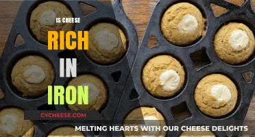 Is Cheese an Iron-Rich Food? Uncovering the Nutritional Truth