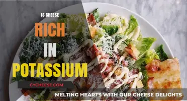 Is Cheese a Good Source of Potassium? Uncovering Nutritional Facts