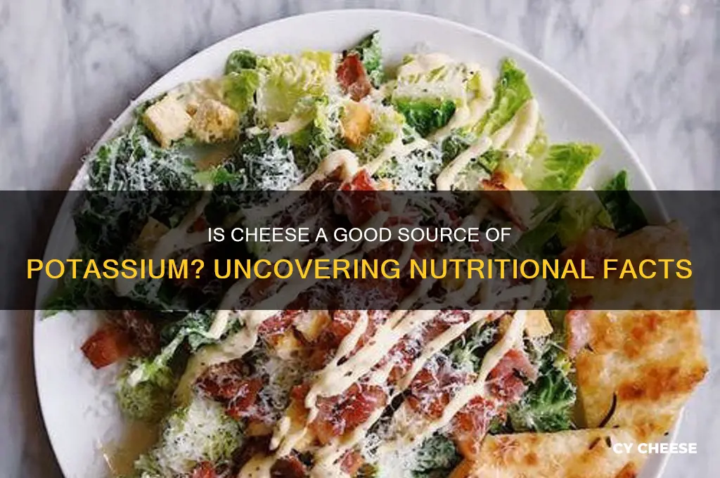is cheese rich in potassium