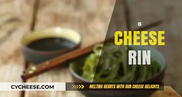 Is Cheese Rin? Unraveling the Mystery Behind This Viral Question