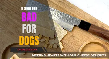 Cheese Rinds: Are They Safe for Dogs to Eat?