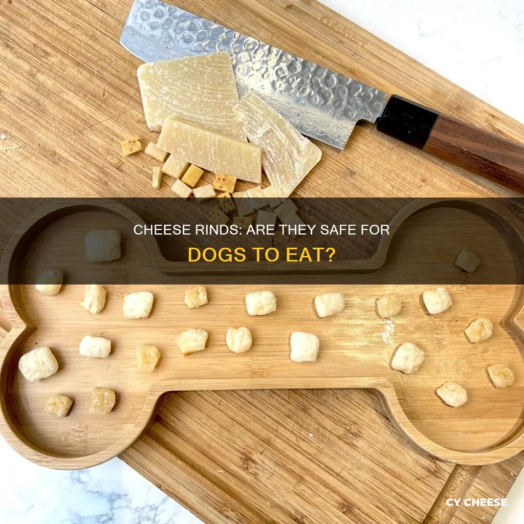 is cheese rind bad for dogs